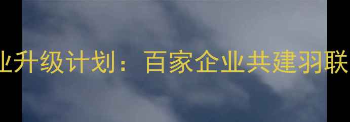 图片 中国羽毛球产业升级计划：百家企业共建羽联星云品牌联盟1