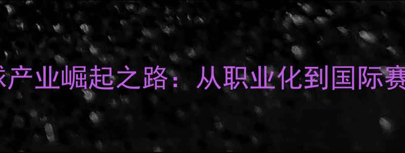 图片 中国羽毛球产业崛起之路：从职业化到国际赛事的全面1