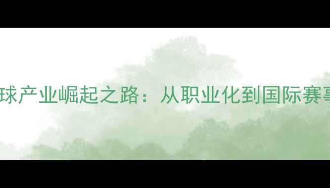 图片 中国羽毛球产业崛起之路：从职业化到国际赛事的全面2