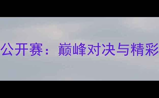 图片 中国羽毛球公开赛：巅峰对决与精彩瞬间全记录