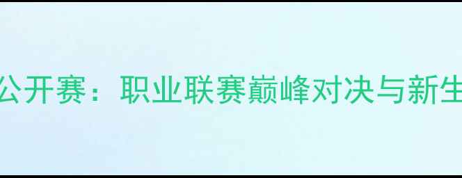 图片 中国羽毛球公开赛：职业联赛巅峰对决与新生代选手崛起
