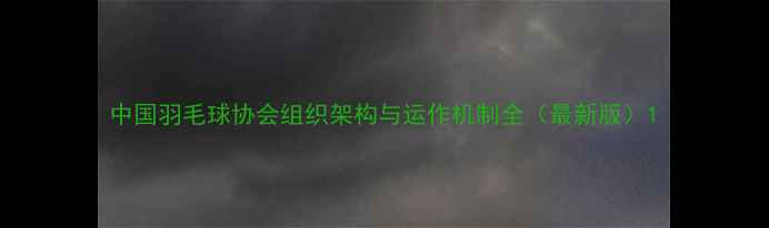 图片 中国羽毛球协会组织架构与运作机制全（最新版）1