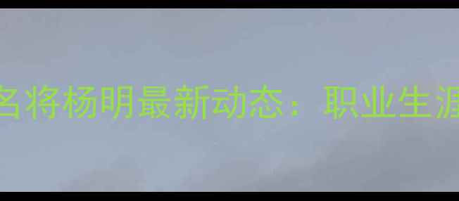 图片 中国羽毛球名将杨明最新动态：职业生涯回顾与技术