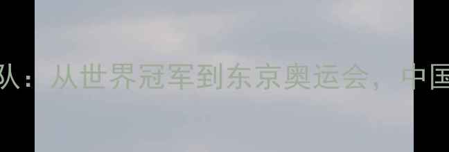 图片 中国羽毛球国家队：从世界冠军到东京奥运会，中国羽坛的巅峰之路