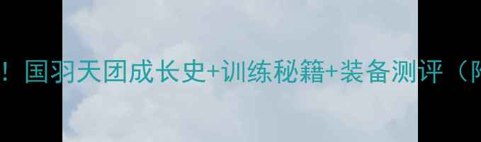 图片 中国羽毛球明星大！国羽天团成长史+训练秘籍+装备测评（附最新赛事预测）1