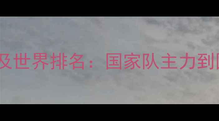 图片 中国羽毛球职业球员全名单及世界排名：国家队主力到国际赛场新秀的全方位盘点2