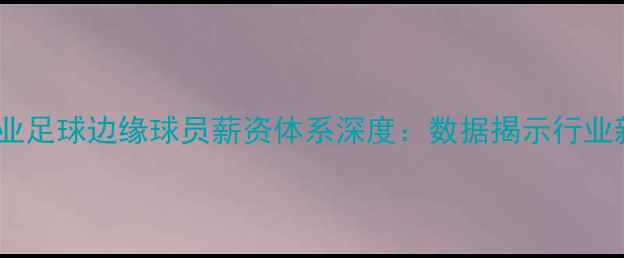 图片 中国职业足球边缘球员薪资体系深度：数据揭示行业新生态1