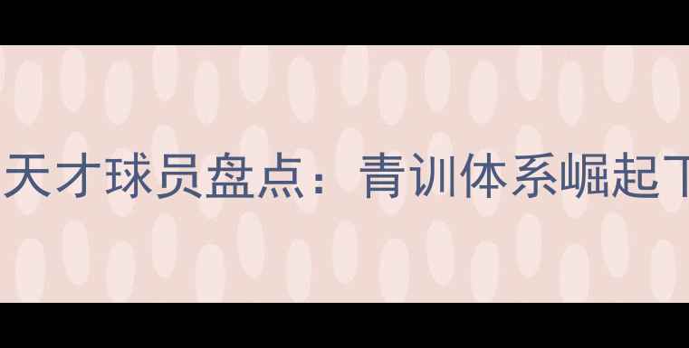 图片 中国足坛青年天才球员盘点：青训体系崛起下的未来之星2