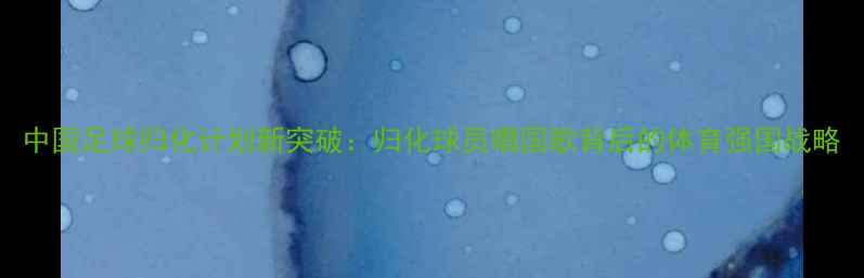 图片 中国足球归化计划新突破：归化球员唱国歌背后的体育强国战略