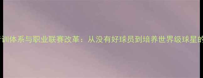 图片 中国足球青训体系与职业联赛改革：从没有好球员到培养世界级球星的转型之路1