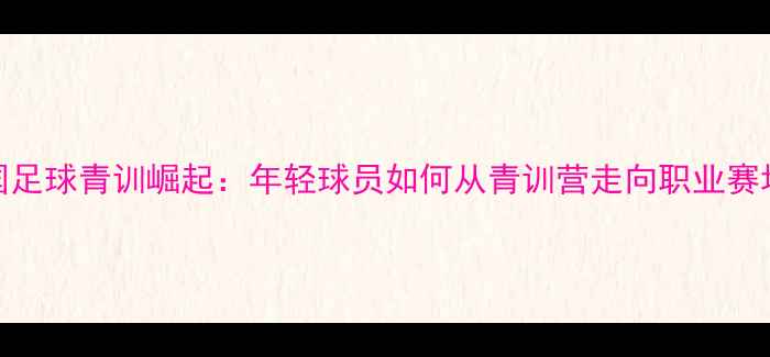 图片 中国足球青训崛起：年轻球员如何从青训营走向职业赛场？