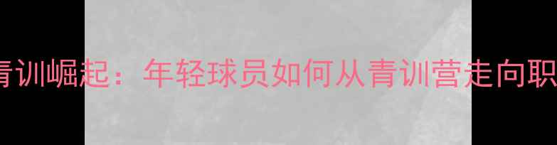 图片 中国足球青训崛起：年轻球员如何从青训营走向职业赛场？1
