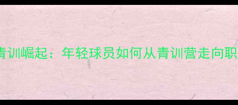 图片 中国足球青训崛起：年轻球员如何从青训营走向职业赛场？2