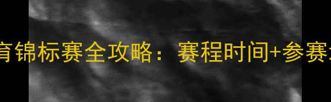 图片 中国青少年体育锦标赛全攻略：赛程时间+参赛地点+观赛指南