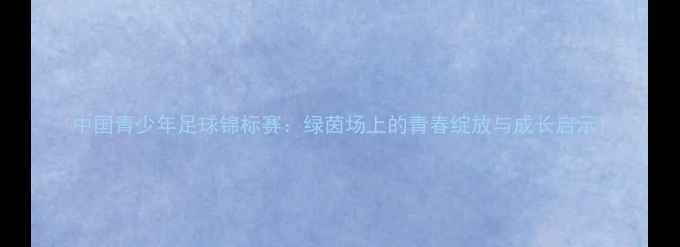 图片 中国青少年足球锦标赛：绿茵场上的青春绽放与成长启示1