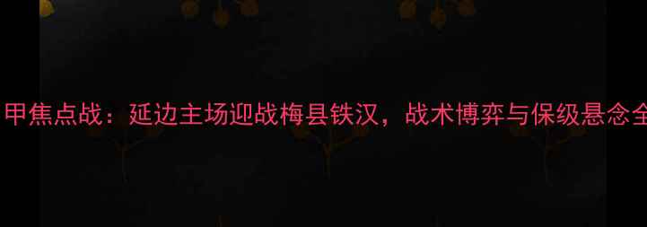 图片 中甲焦点战：延边主场迎战梅县铁汉，战术博弈与保级悬念全2