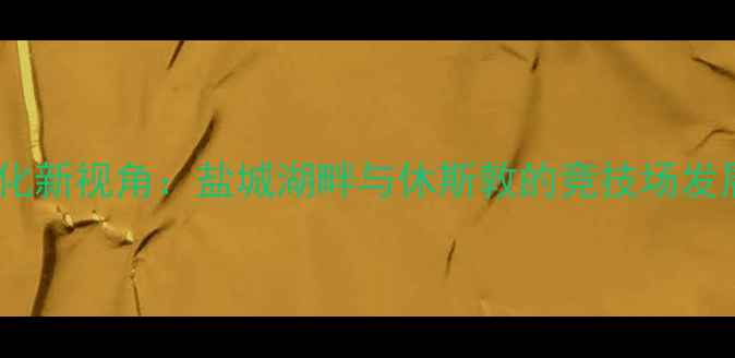 图片 中美体育文化新视角：盐城湖畔与休斯敦的竞技场发展对比研究1