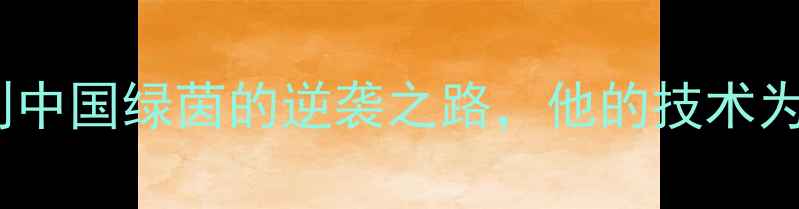图片 中超24号黑人球星：从非洲草原到中国绿茵的逆袭之路，他的技术为何让五大联赛教练组争相邀约？1