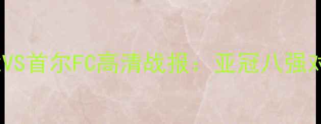 图片 中超劲旅山东鲁能VS首尔FC高清战报：亚冠八强对决全纪录及战术2