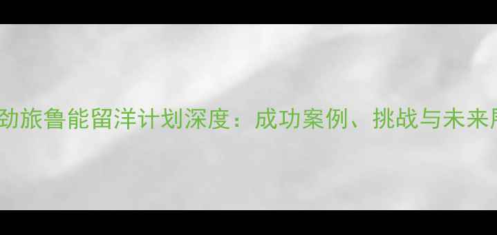 图片 中超劲旅鲁能留洋计划深度：成功案例、挑战与未来展望1