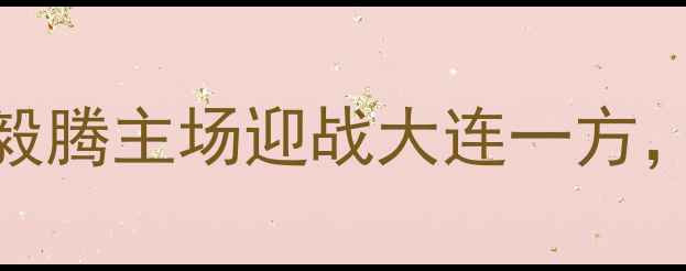 图片 中超焦点战：哈尔滨毅腾主场迎战大连一方，谁将问鼎东北德比？