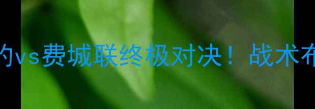 图片 中超焦点战：纽约vs费城联终极对决！战术布局与胜负手深度