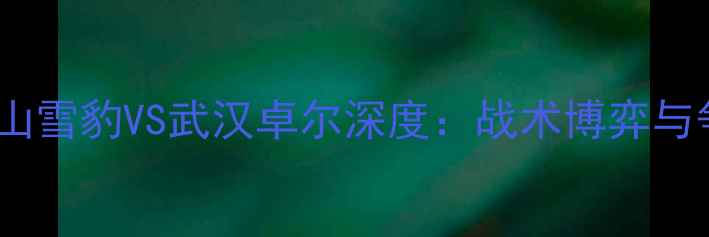 图片 中超联赛新疆天山雪豹VS武汉卓尔深度：战术博弈与争冠前景全展望1