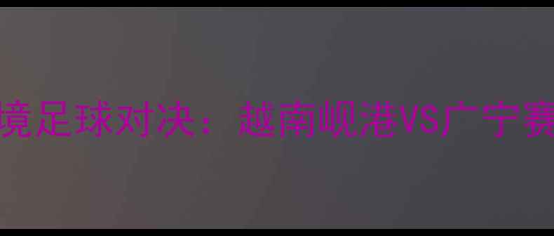 图片 中越边境足球对决：越南岘港VS广宁赛事深度