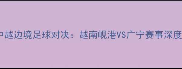 图片 中越边境足球对决：越南岘港VS广宁赛事深度1