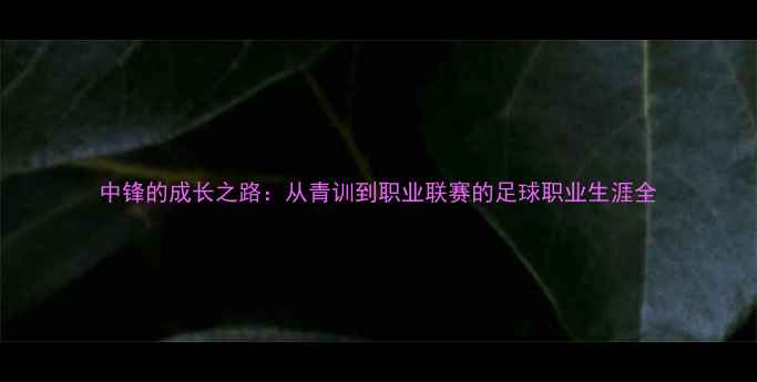 图片 中锋的成长之路：从青训到职业联赛的足球职业生涯全