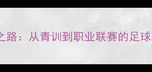 图片 中锋的成长之路：从青训到职业联赛的足球职业生涯全1