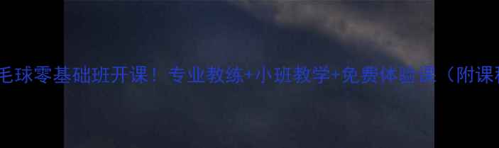 图片 丰台体育中心羽毛球零基础班开课！专业教练+小班教学+免费体验课（附课程表+限时优惠）