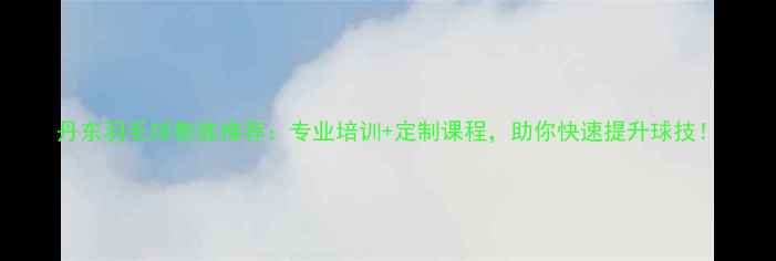 图片 丹东羽毛球教练推荐：专业培训+定制课程，助你快速提升球技！