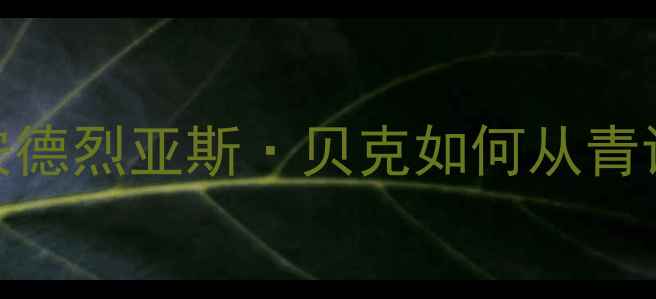 图片 丹麦羽坛新星崛起：安德烈亚斯·贝克如何从青训营走向世界冠军之路