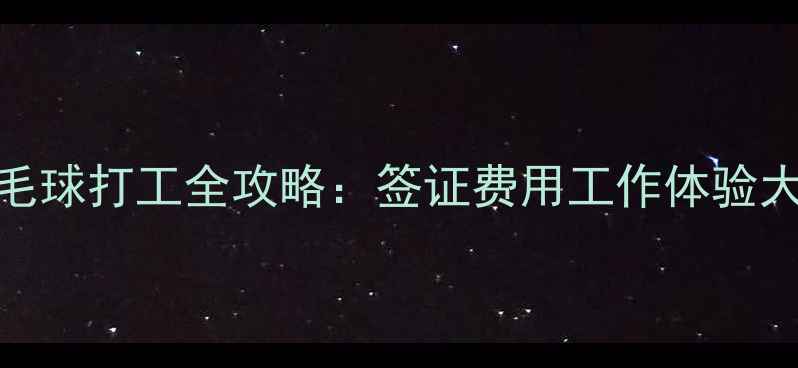 图片 丹麦羽毛球打工全攻略：签证费用工作体验大公开！