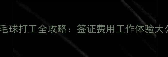 图片 丹麦羽毛球打工全攻略：签证费用工作体验大公开！1