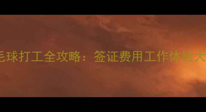 图片 丹麦羽毛球打工全攻略：签证费用工作体验大公开！2