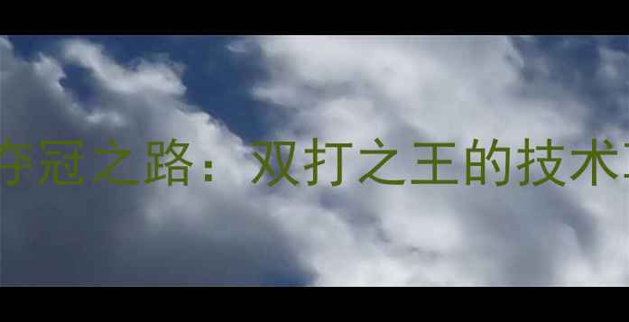 图片 乒乓球T2联赛田志希夺冠之路：双打之王的技术革新与赛事影响深度1