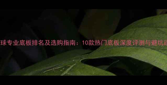 图片 乒乓球专业底板排名及选购指南：10款热门底板深度评测与避坑建议1