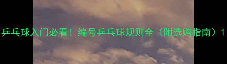 图片 乒乓球入门必看！编号乒乓球规则全（附选购指南）1