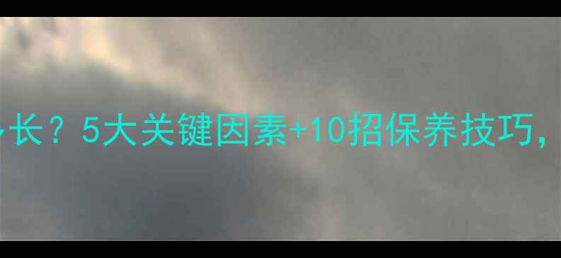图片 乒乓球套胶寿命有多长？5大关键因素+10招保养技巧，助你延长使用寿命1