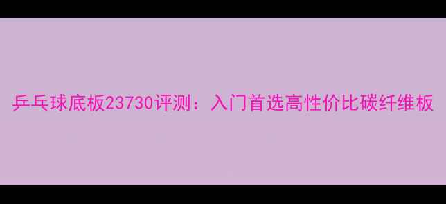 图片 乒乓球底板23730评测：入门首选高性价比碳纤维板