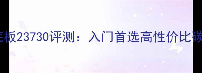 图片 乒乓球底板23730评测：入门首选高性价比碳纤维板1