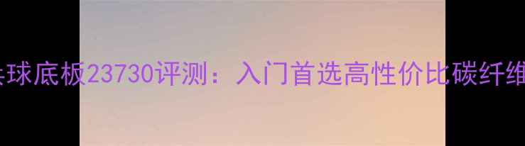 图片 乒乓球底板23730评测：入门首选高性价比碳纤维板2