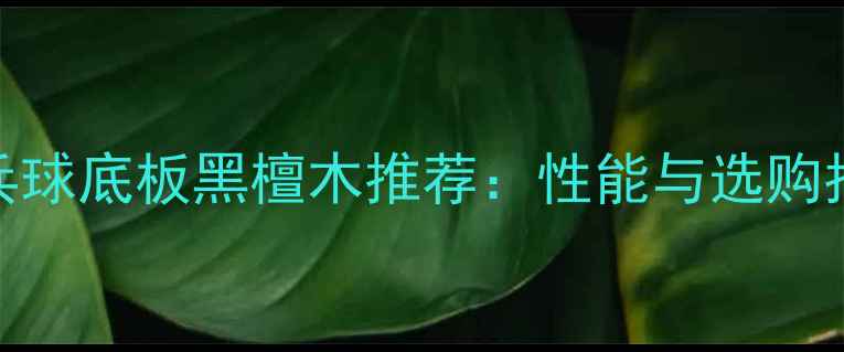 图片 乒乓球底板黑檀木推荐：性能与选购指南