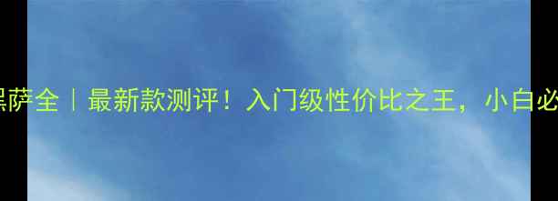 图片 乒乓球底板黑萨全｜最新款测评！入门级性价比之王，小白必看选购指南1