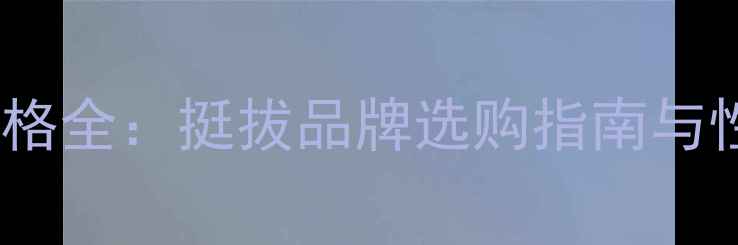 图片 乒乓球拍价格全：挺拔品牌选购指南与性价比推荐1