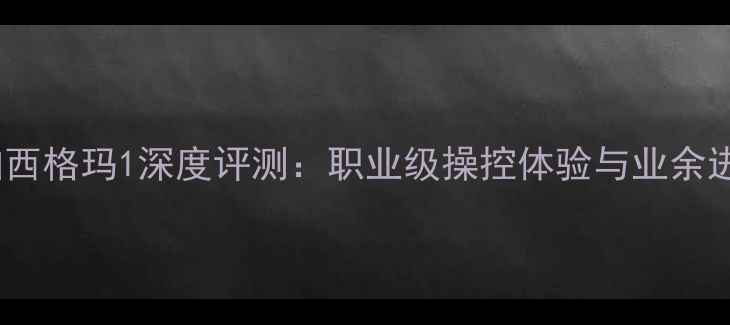 图片 乒乓球拍西格玛1深度评测：职业级操控体验与业余进阶首选1