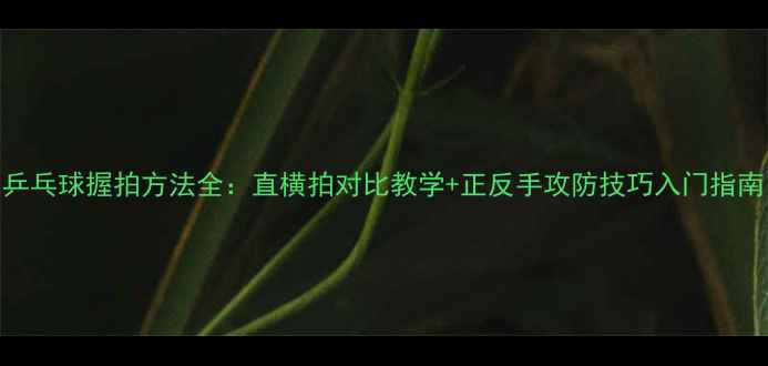 图片 乒乓球握拍方法全：直横拍对比教学+正反手攻防技巧入门指南