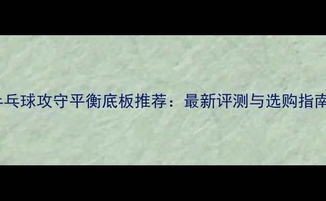 图片 乒乓球攻守平衡底板推荐：最新评测与选购指南1